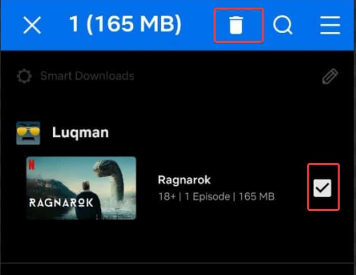Delete Netflix downloads