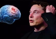 Elon Musk’s Neuralink unveils brain microchip to let humans 'merge with computers'