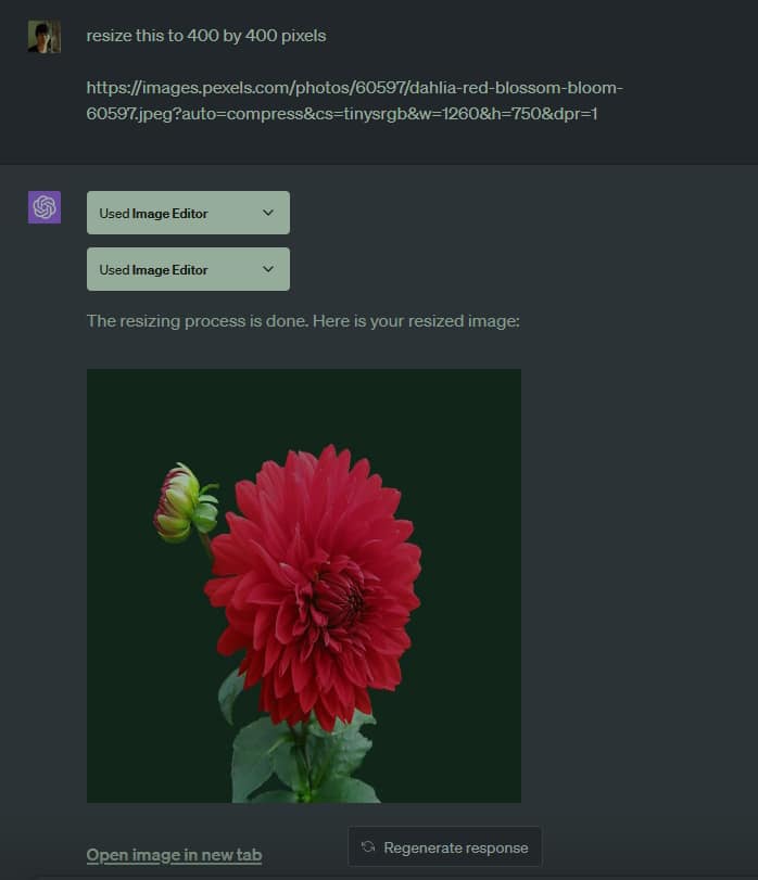 Image Editor ChatGPT plugin