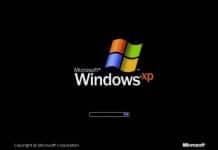 windows xp source code