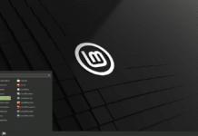 linux mint 20.3