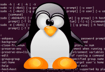 sudo linux